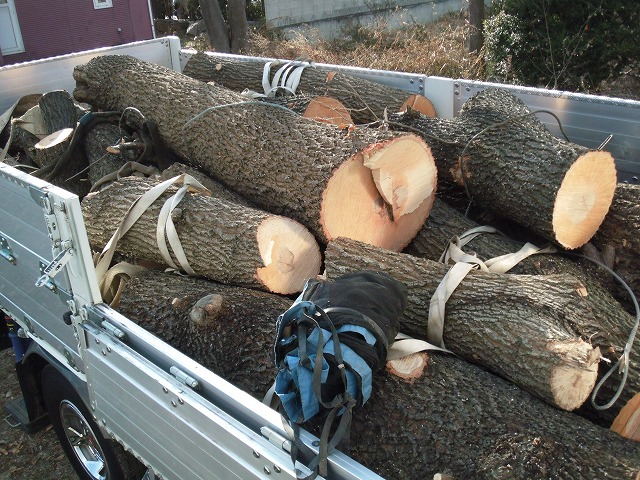 搬出前の丸太（伐採後の処分・運搬）