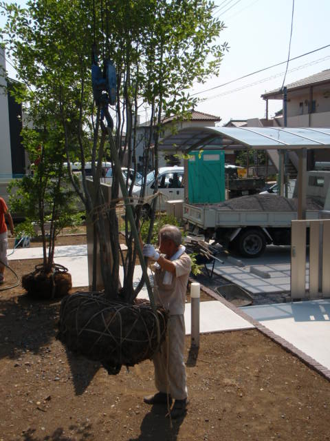 植栽材料の搬入