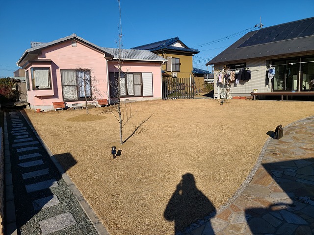 手入れされた芝生