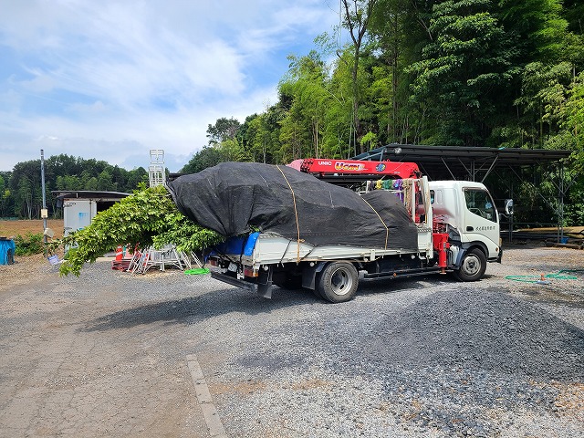 植木の運搬