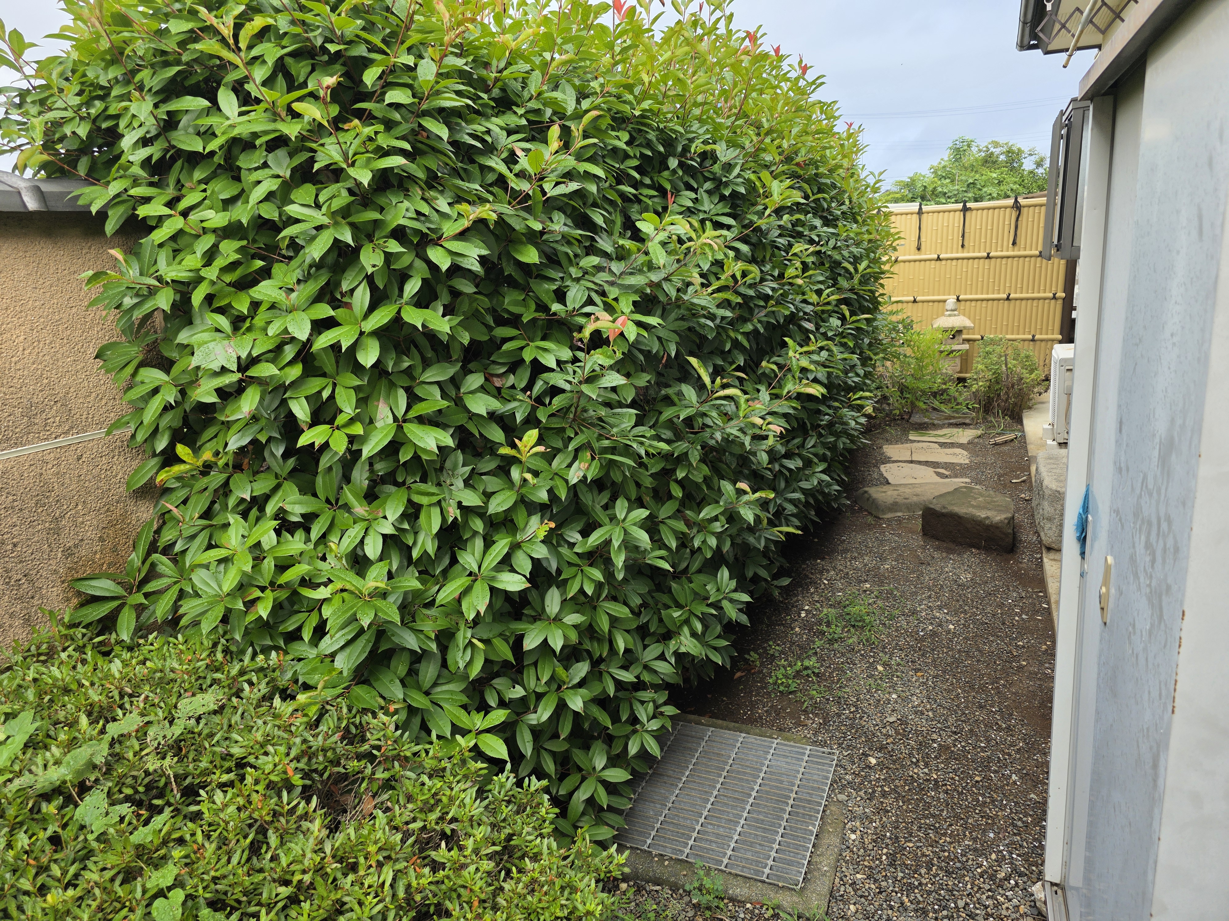 細長くクランクした狭小地の鰻の寝床