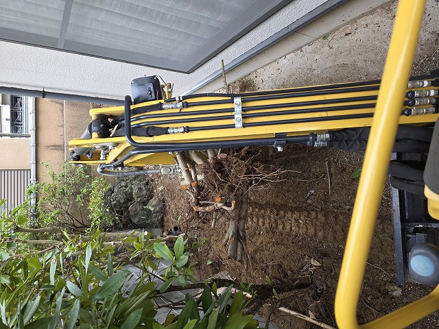 クランク先は手堀りで抜根