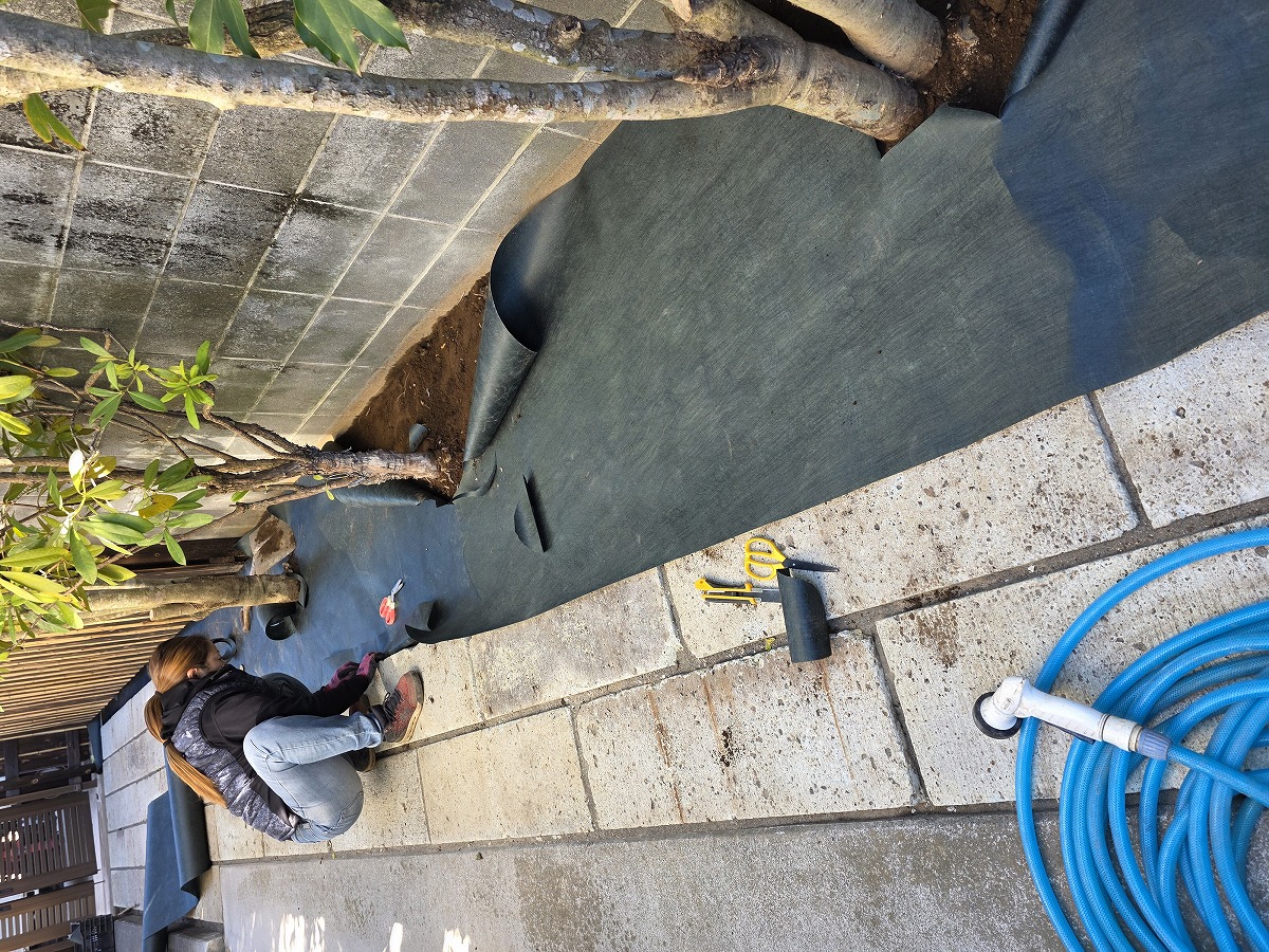 ザバーン240で防草対策