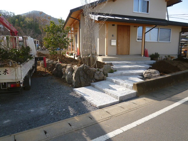 アオハダ：若枝が伸びる樹